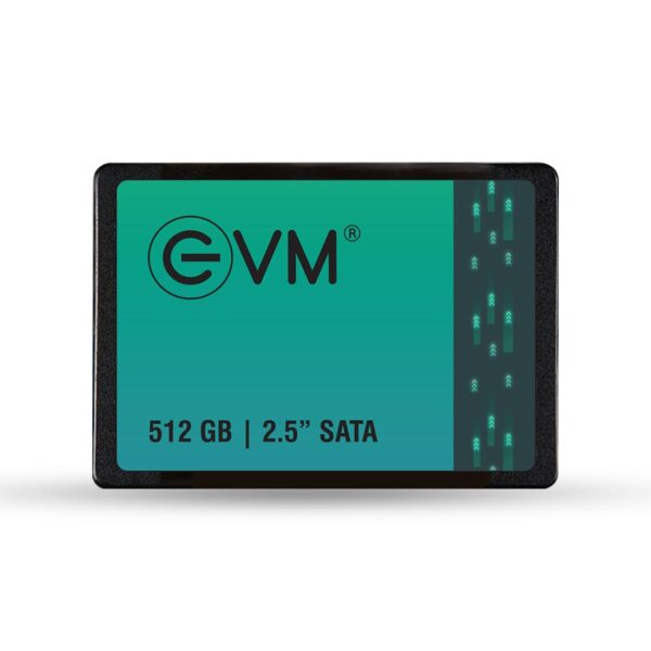 EVM 512GB Internal SSD High Performance Storage – Lapilab Pune